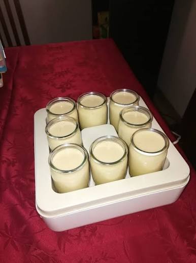 Yogourt au baobab